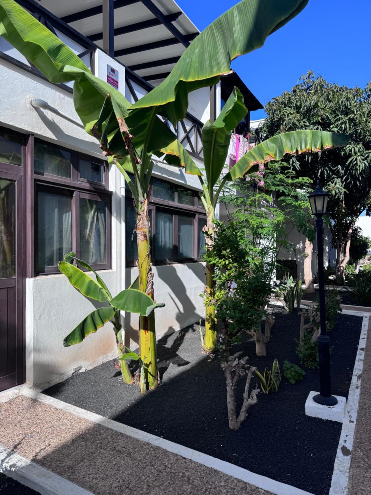 Ferienwohnung Casa Ana Puerto Del Carmen Tías Exterior foto